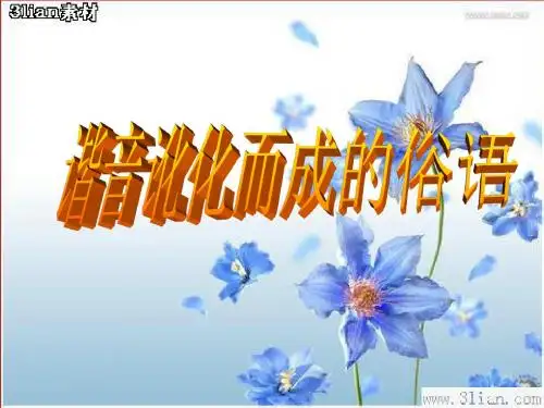 谐音讹化而成的俗语ppt