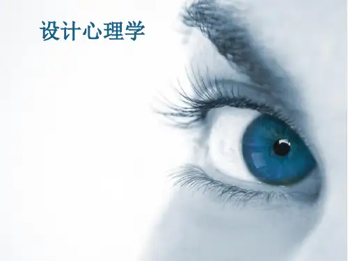 设计心理学错觉分析