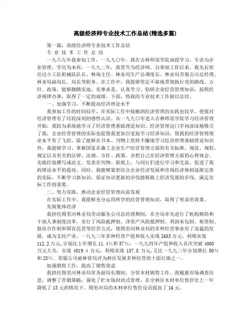 高级经济师专业技术工作总结(精选多篇)