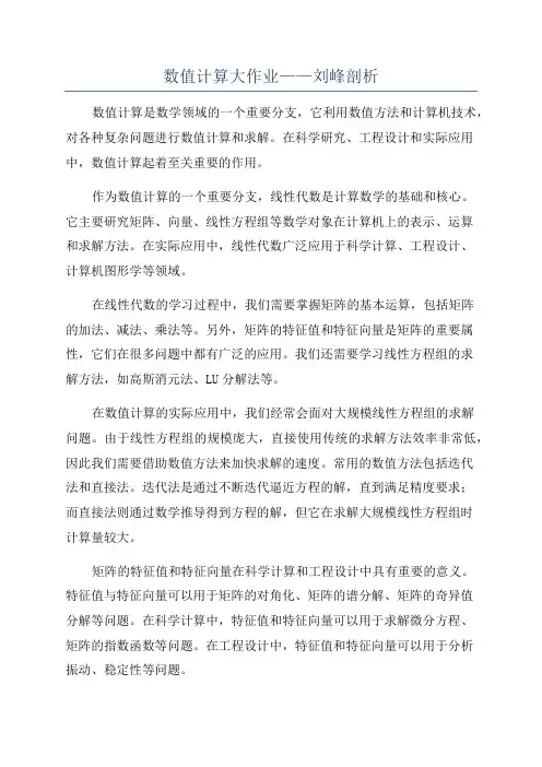 数值计算大作业——刘峰剖析