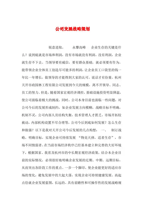 2019年整理公司发展战略规划