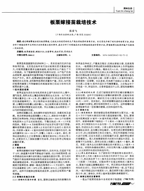 板栗嫁接苗栽培技术