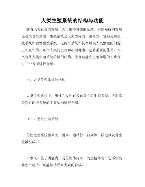 人类生殖系统的结构与功能