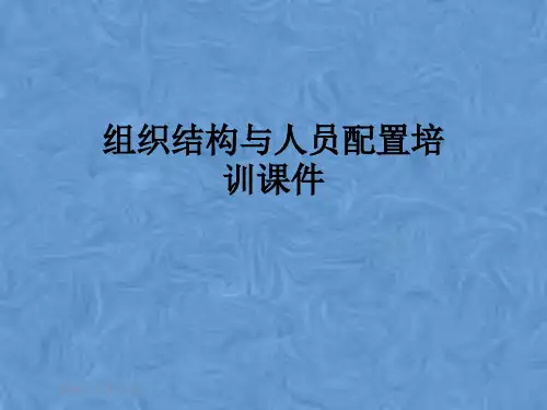 组织结构与人员配置培训课件