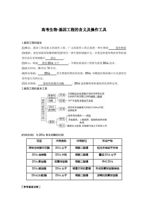 高考生物-基因工程的含义及操作工具
