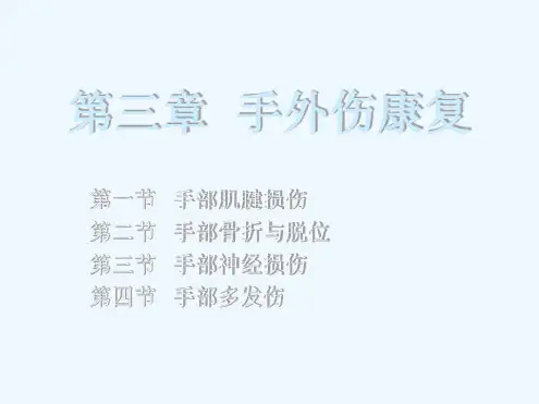 手外伤康复