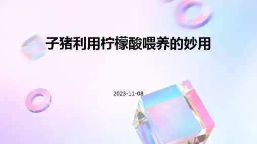 子猪利用柠檬酸喂养的妙用