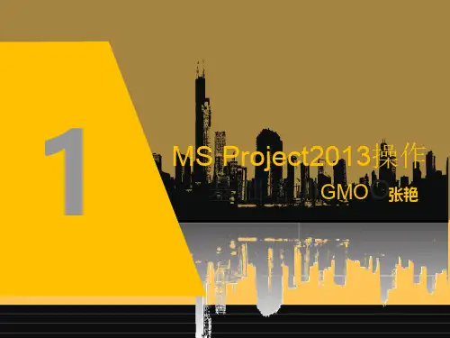 PROJECT_2013操作基础培训1.0