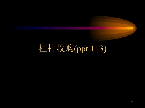 杠杆收购(ppt 113)