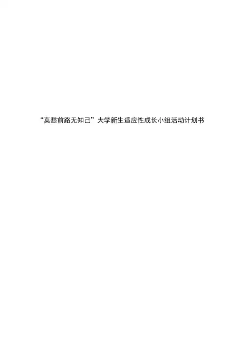 大学新生适应性小组活动计划书