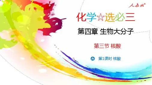 4.3核酸  高二化学课件 人教版选择性必修三