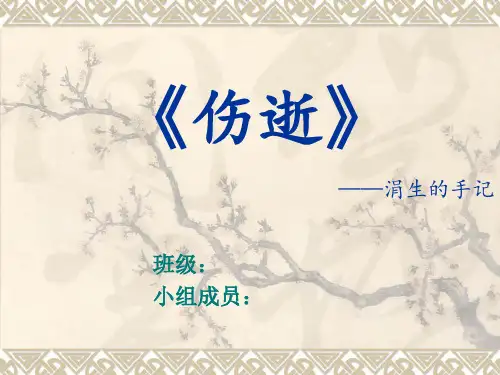 《伤逝》课件