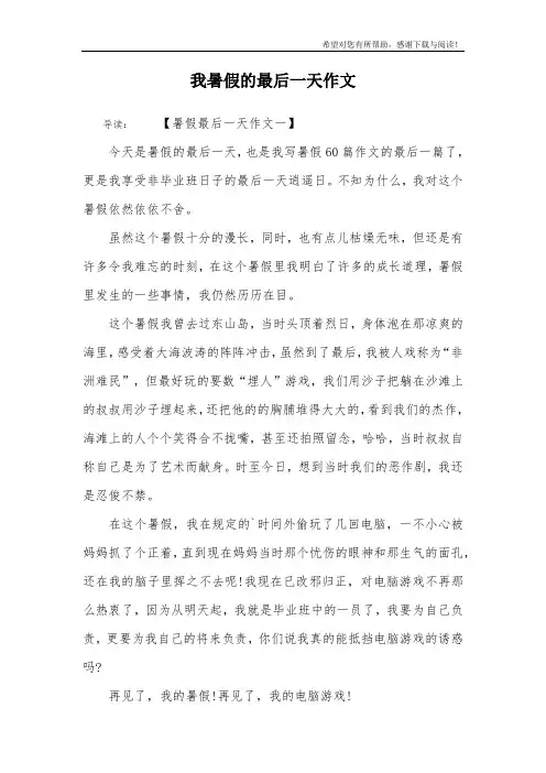 我暑假的最后一天作文