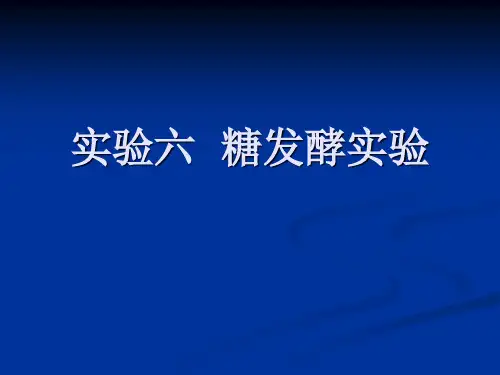 糖发酵实验(教学课件)