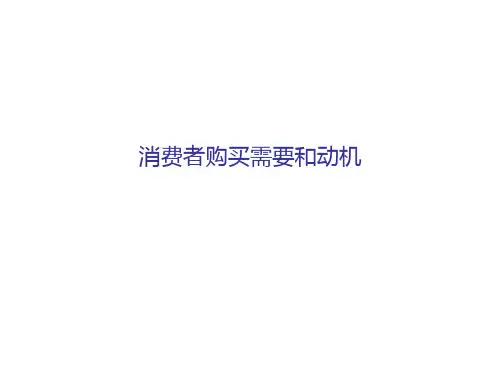 《消费者购买动机》PPT课件