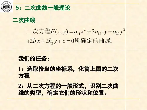 N二次曲线的一般理论