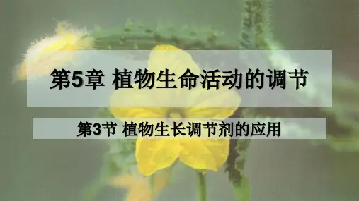 植物生长调节剂的应用课件-高二上学期生物人教版(2019)选择性必修1