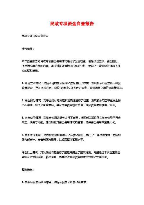 民政专项资金自查报告 (2)