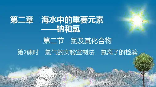 人教版高中化学必修第1册 第2章 钠和氯 第2节 第2课时 氯气的实验室制法 氯离子的检验