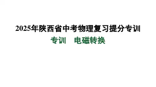 2025年陕西省中考物理复习提分专训(专训 电磁转换)