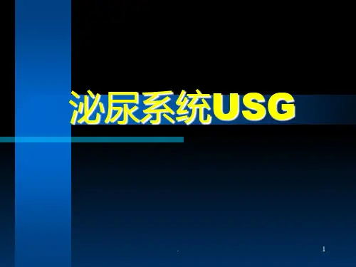泌尿B超