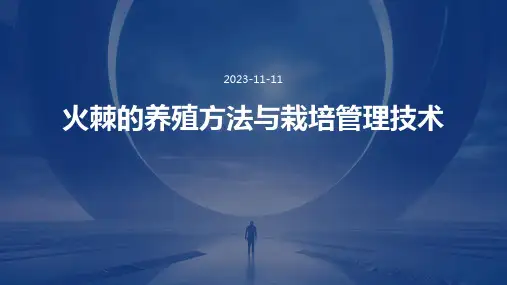 火棘的养殖方法火棘的栽培管理技术