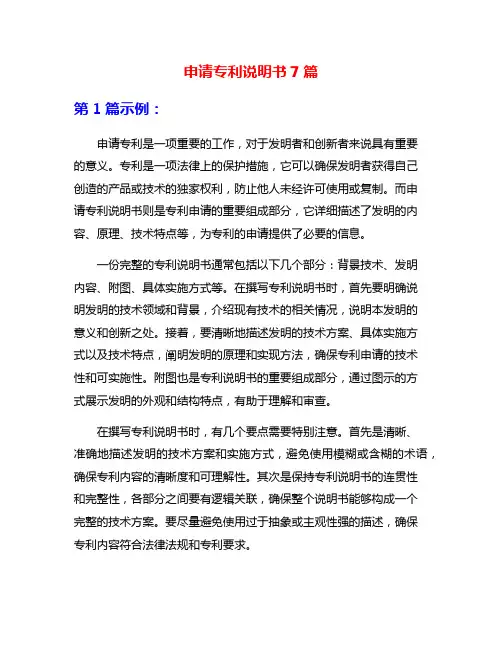 申请专利说明书7篇