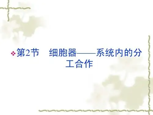 新人教版必修1高中生物第3章第2节细胞器系统内的分工合作课件