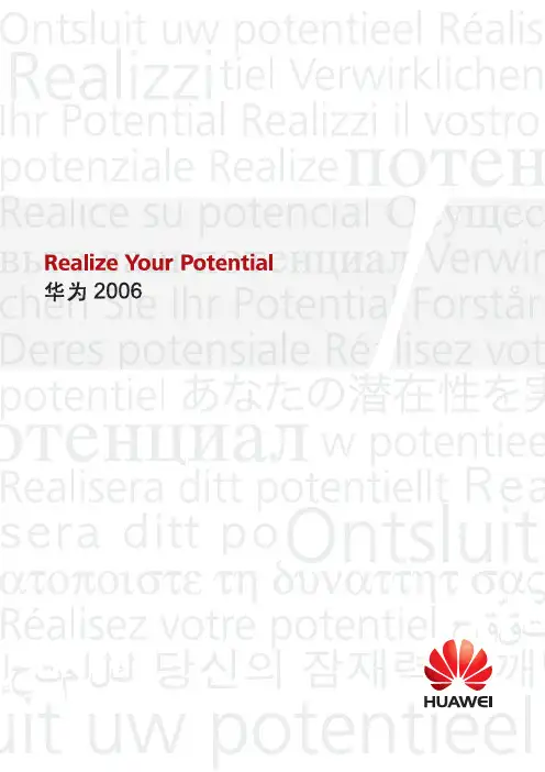 华为技术有限公司2006年年报