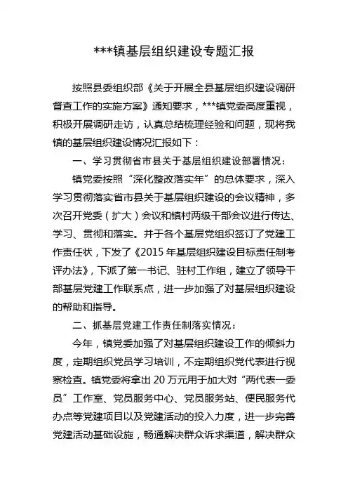 镇基层组织建设专题汇报