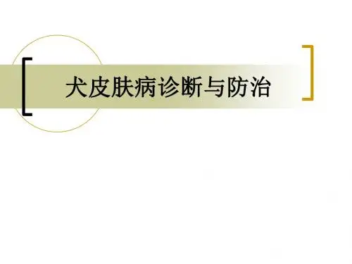犬皮肤病诊断与防治ppt课件