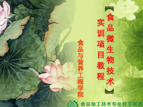 食品微生物技术实训项目教程说课