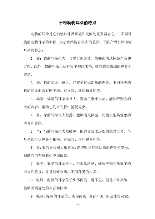 十种动物耳朵的特点
