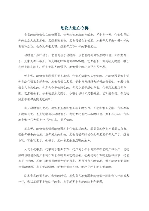 动物大逃亡心得