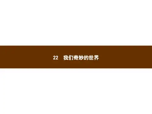 人教部编版我们奇妙的世界精美课件1