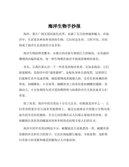 海洋生物手抄报