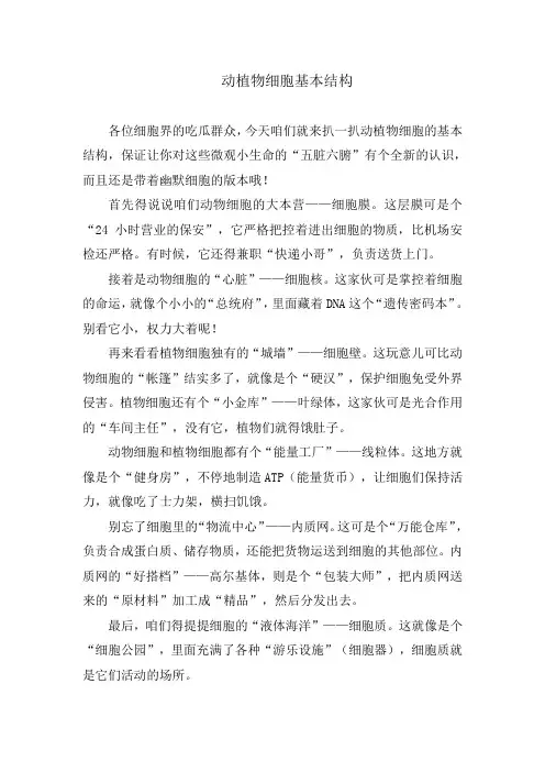 动植物细胞基本结构