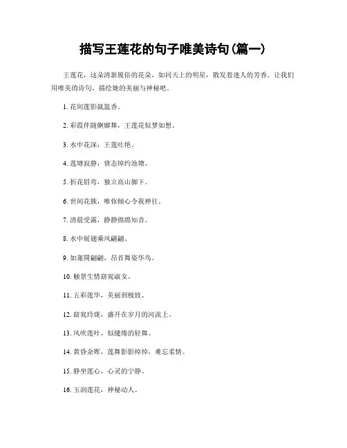 描写王莲花的句子唯美诗句(精选合集2篇)