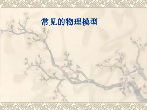 常见的物理模型