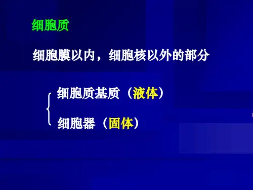 细胞的类型和结构1课件