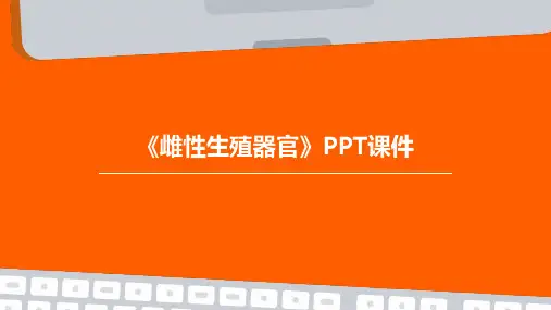 《雌性生殖器官》课件
