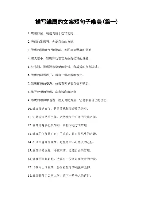 描写雏鹰的文案短句子唯美(精选两篇)