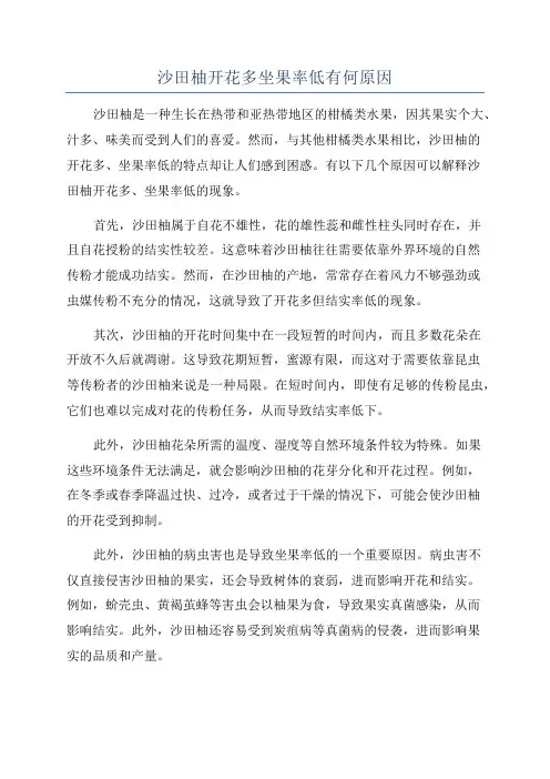 沙田柚开花多坐果率低有何原因