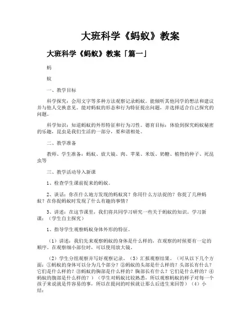 大班科学《蚂蚁》教案