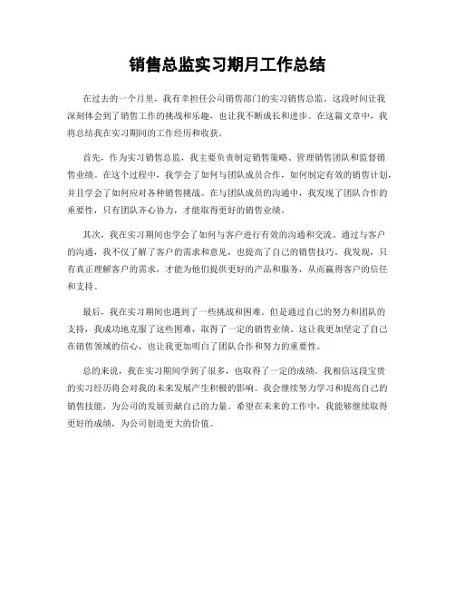 销售总监实习期月工作总结