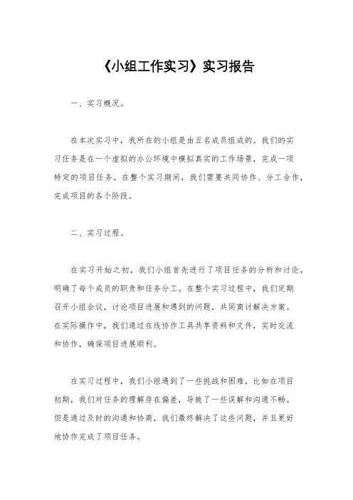 《小组工作实习》实习报告