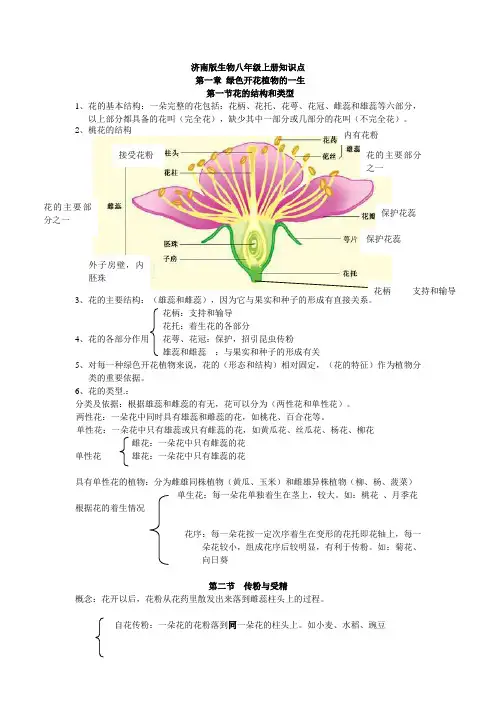 济南版八年级生物上册知识点