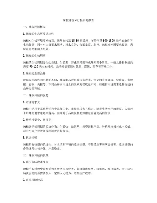 辣椒种植可行性研究报告