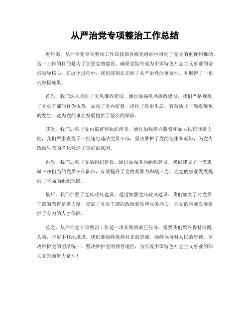 从严治党专项整治工作总结