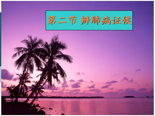 第八章肺病辩证PPT课件